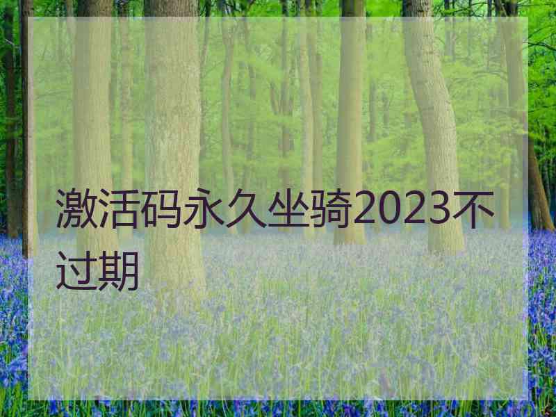 激活码永久坐骑2023不过期