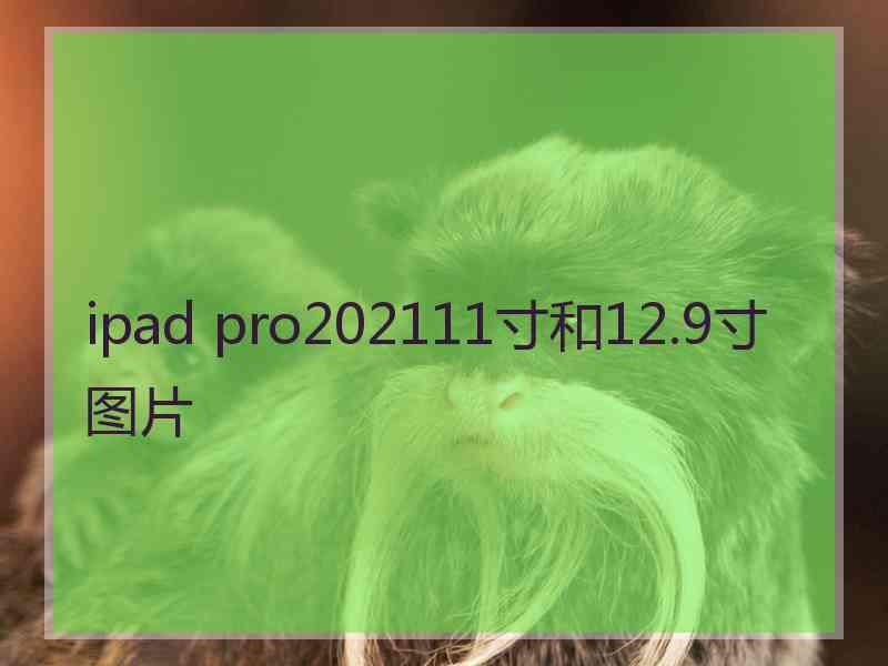 ipad pro202111寸和12.9寸图片