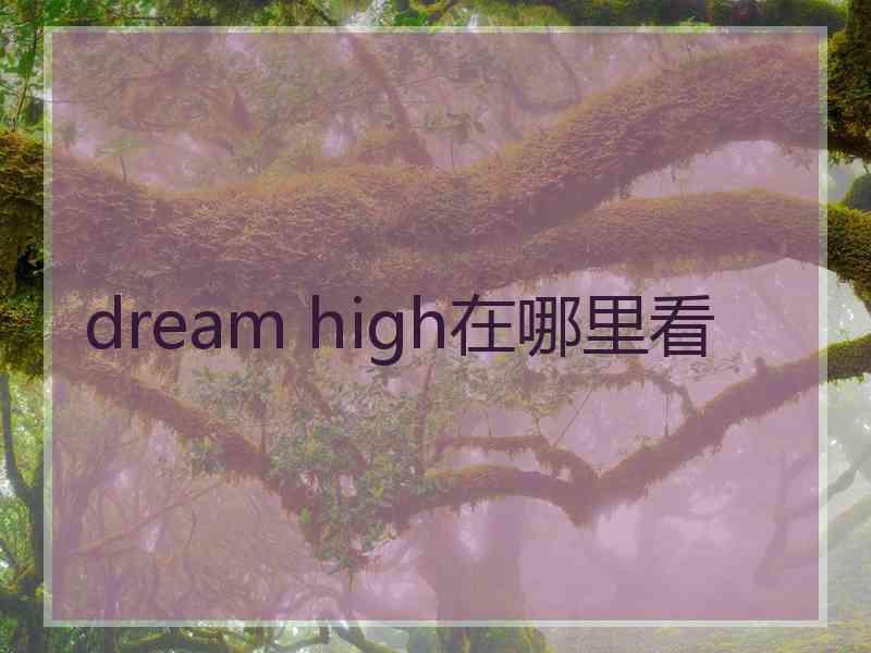 dream high在哪里看