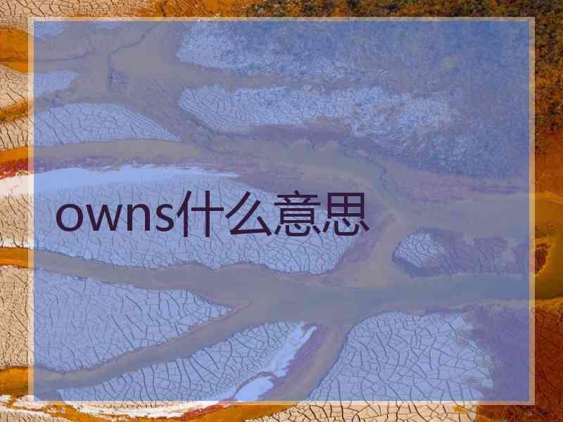 owns什么意思