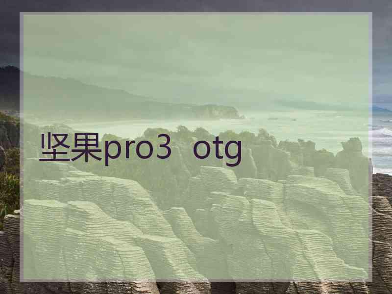 坚果pro3  otg