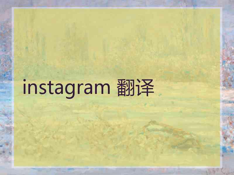 instagram 翻译