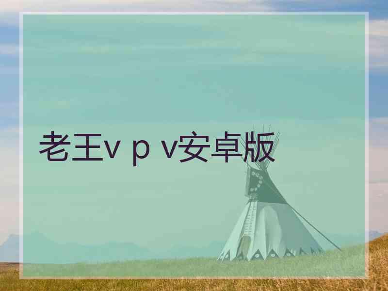 老王v p v安卓版