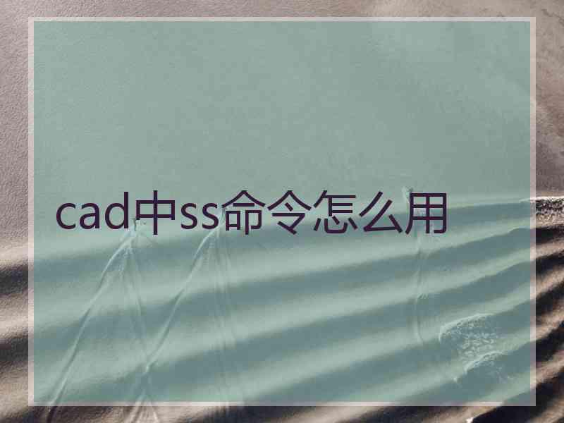 cad中ss命令怎么用