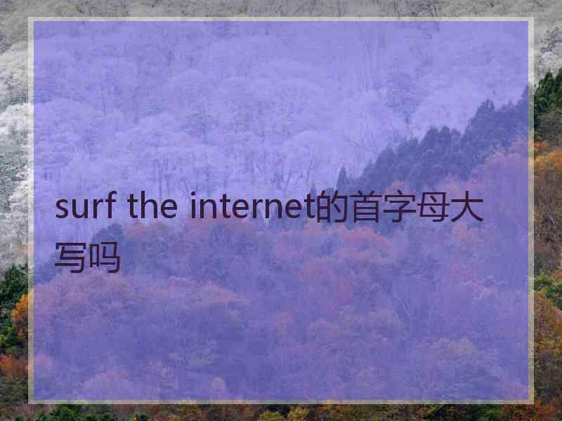 surf the internet的首字母大写吗