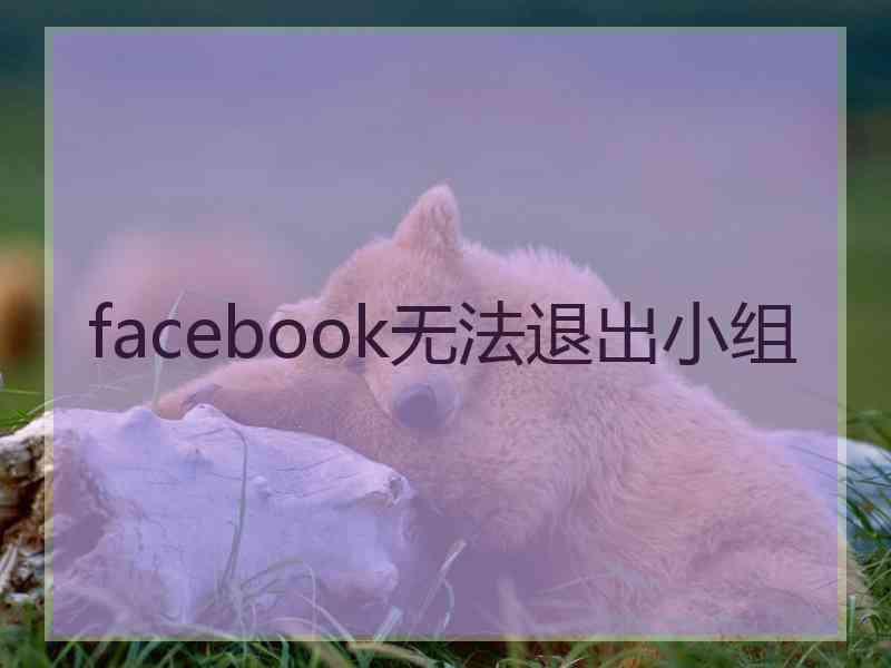 facebook无法退出小组