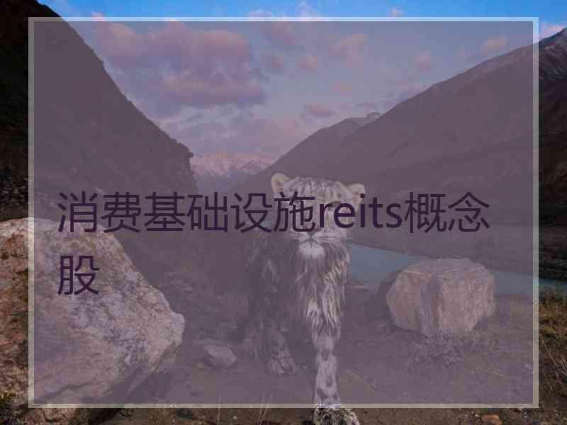 消费基础设施reits概念股