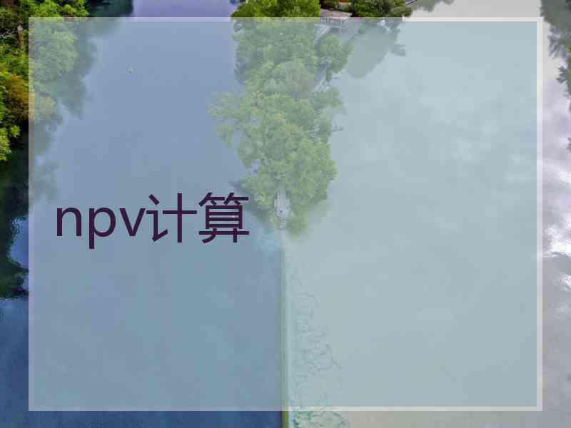 npv计算