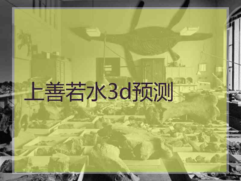 上善若水3d预测