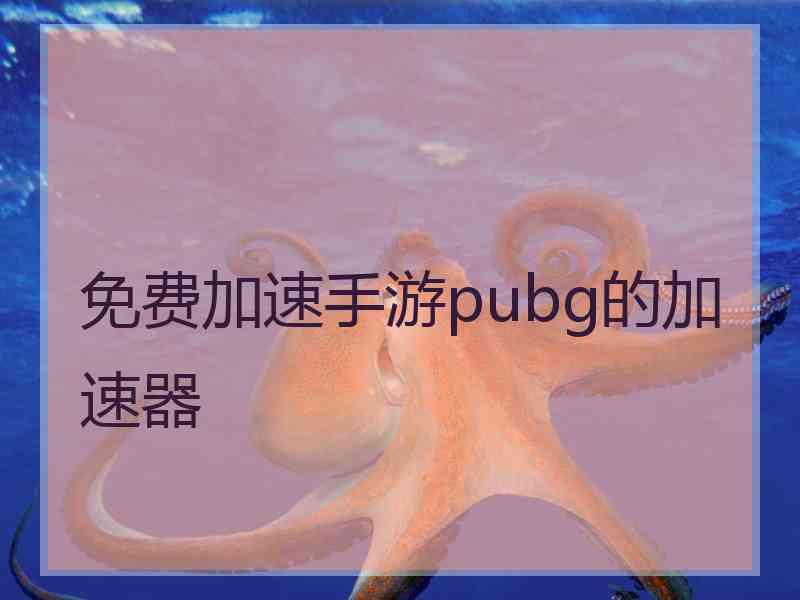 免费加速手游pubg的加速器