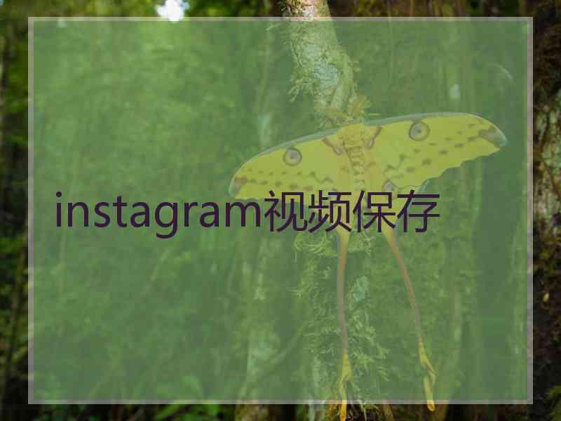 instagram视频保存