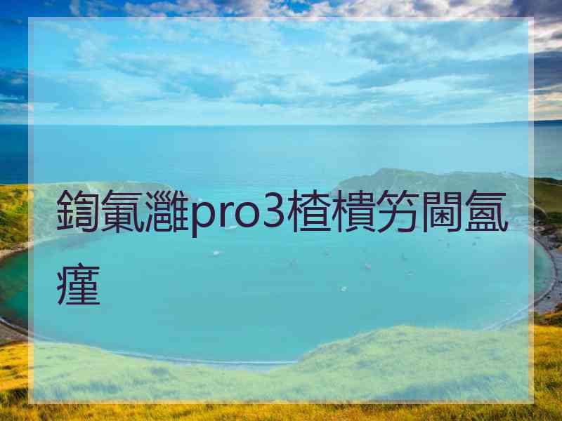 鍧氭灉pro3楂樻竻閫氳瘽