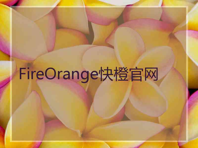 FireOrange快橙官网