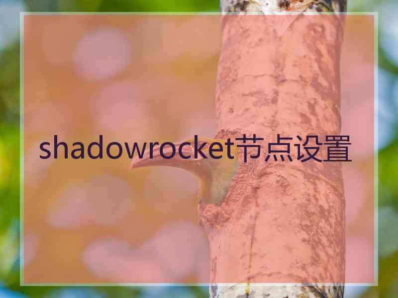 shadowrocket节点设置