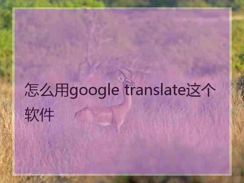 怎么用google translate这个软件