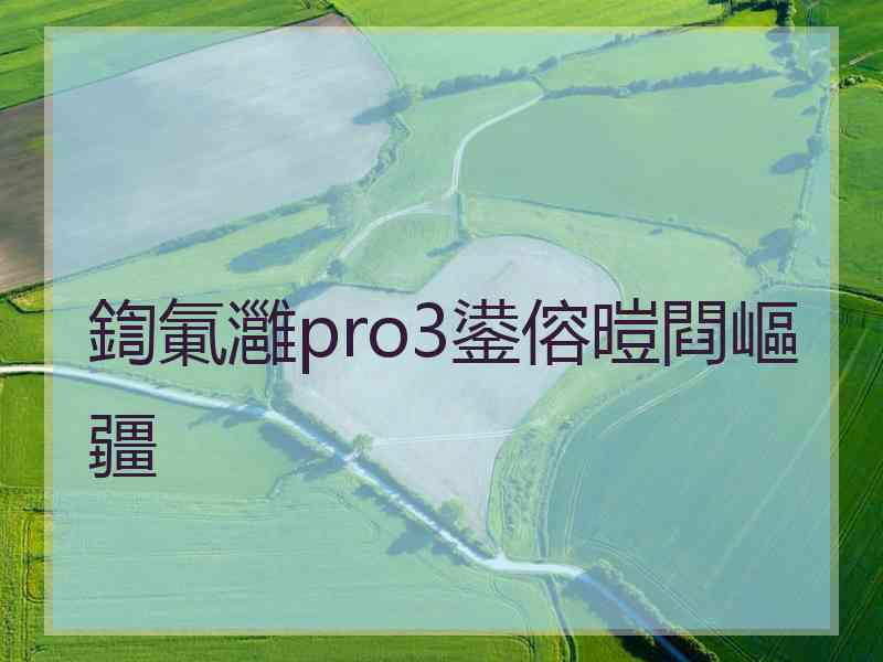 鍧氭灉pro3鍙傛暟閰嶇疆