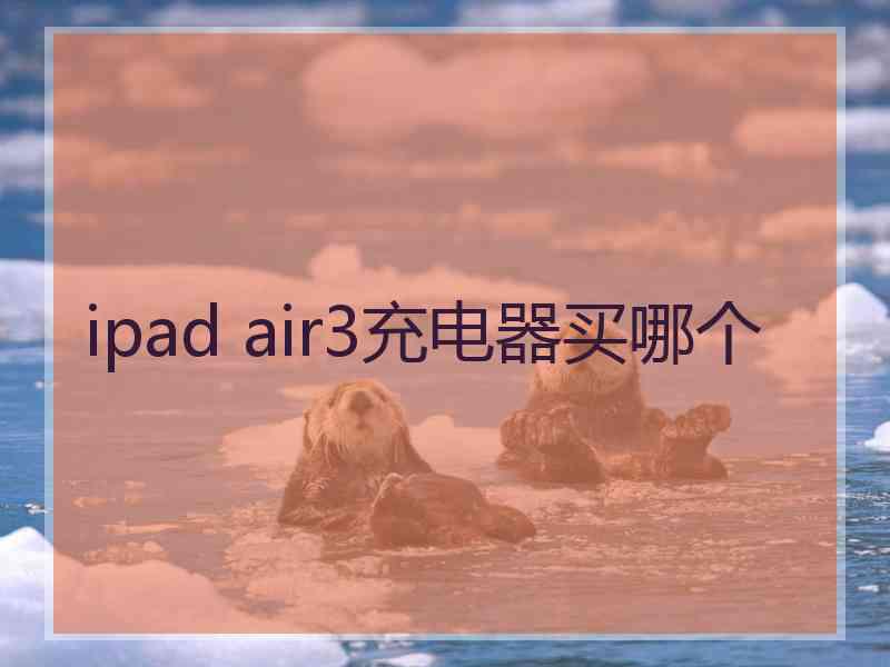 ipad air3充电器买哪个