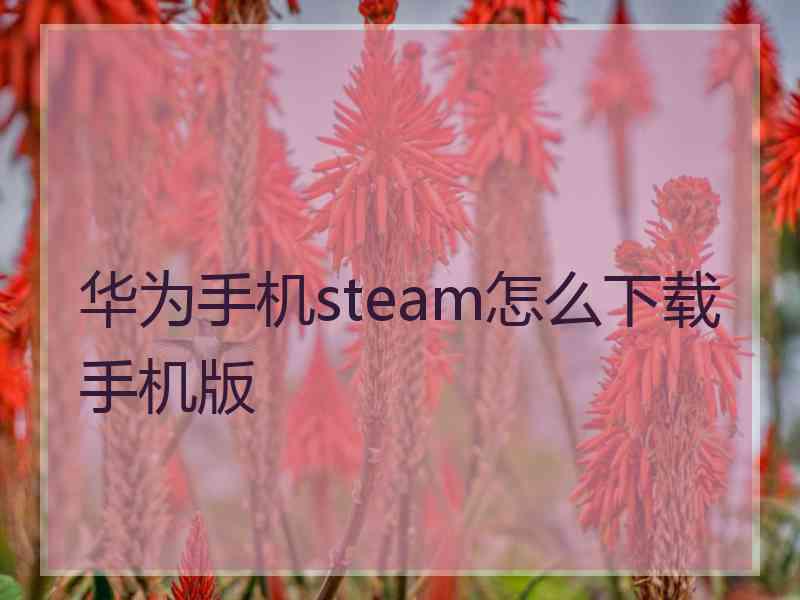 华为手机steam怎么下载手机版