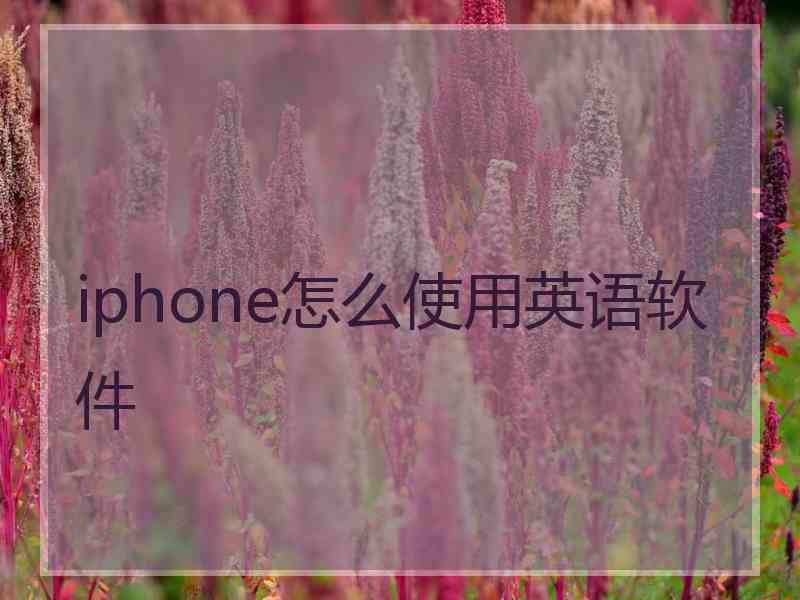 iphone怎么使用英语软件