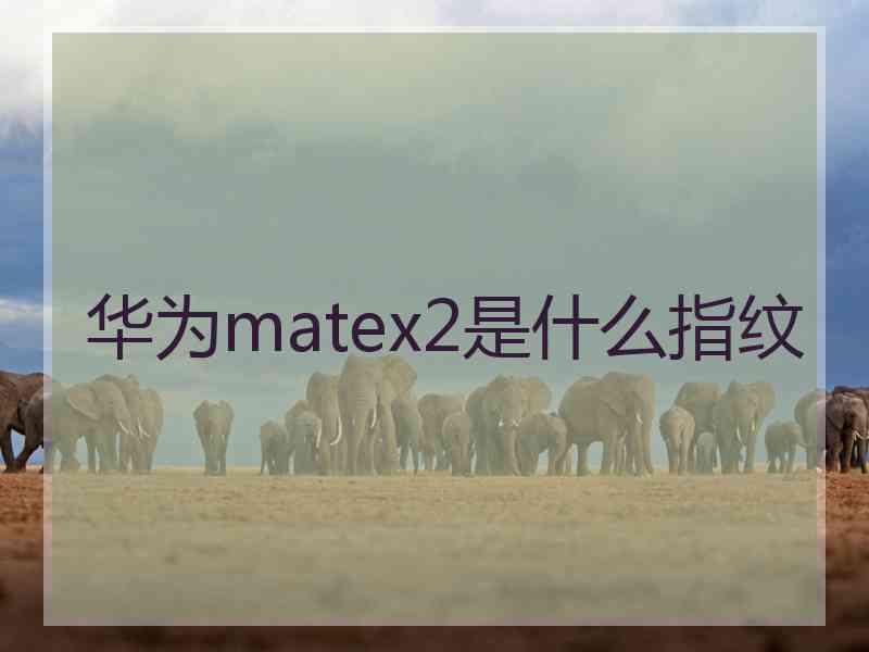 华为matex2是什么指纹