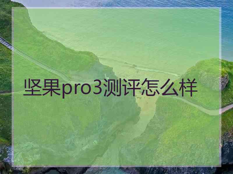 坚果pro3测评怎么样