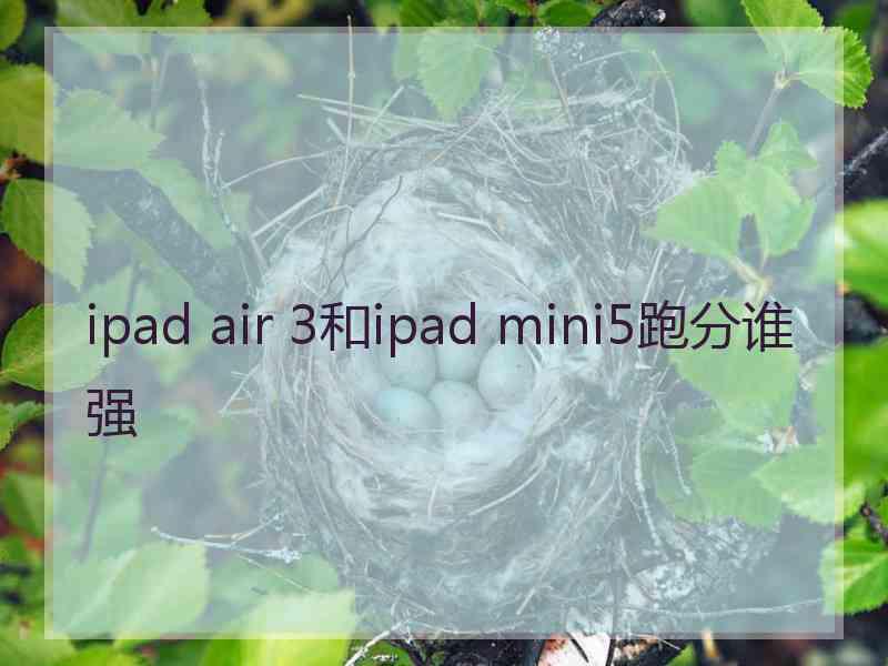 ipad air 3和ipad mini5跑分谁强