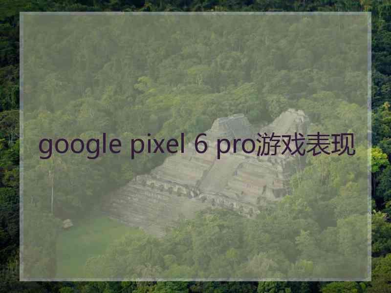 google pixel 6 pro游戏表现