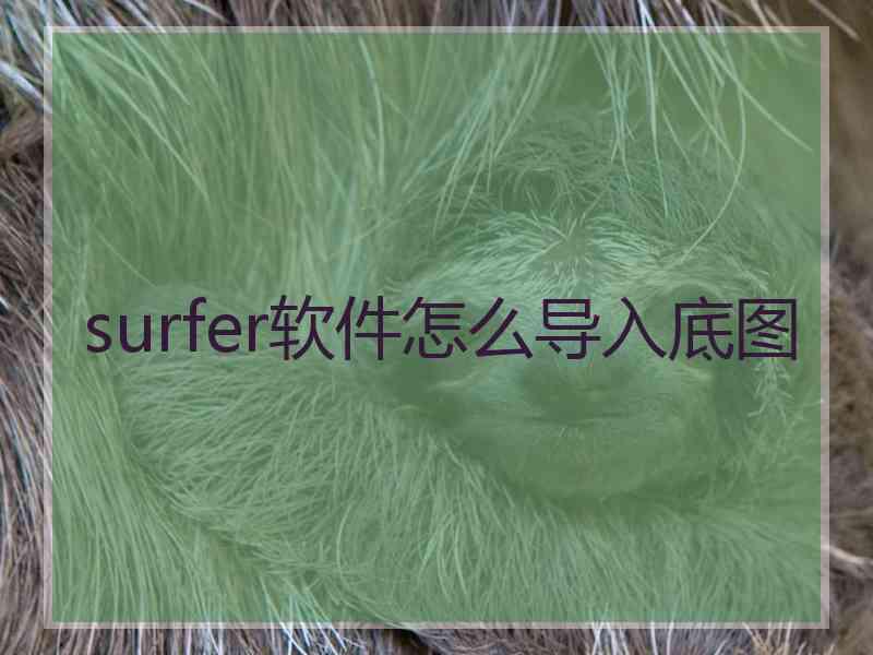 surfer软件怎么导入底图