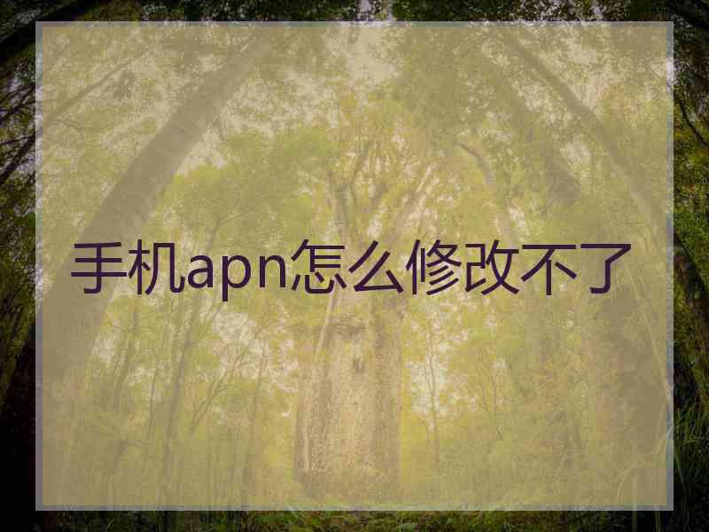 手机apn怎么修改不了