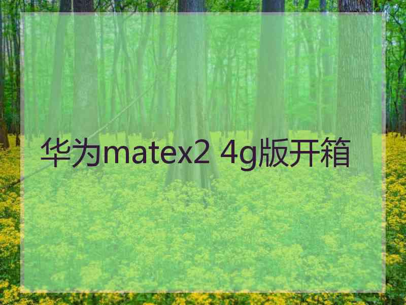 华为matex2 4g版开箱