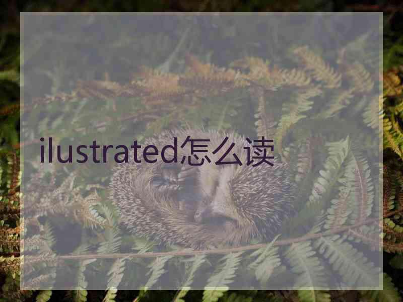 ilustrated怎么读