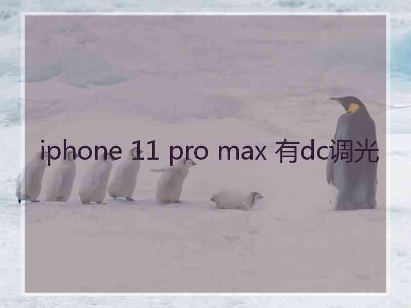 iphone 11 pro max 有dc调光