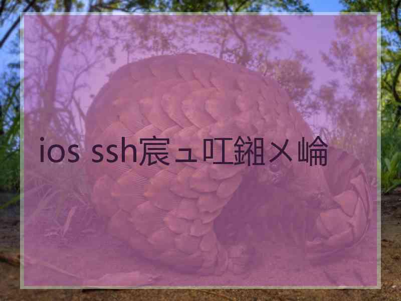 ios ssh宸ュ叿鎺ㄨ崘