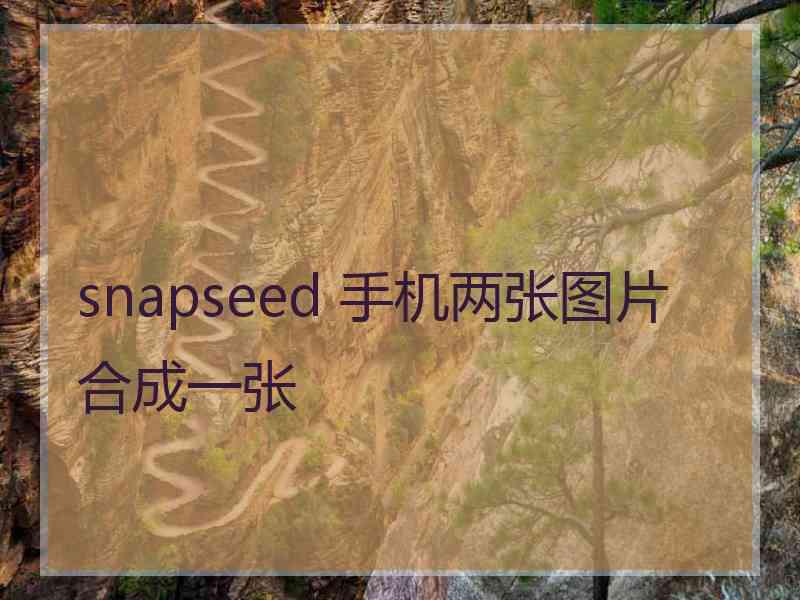 snapseed 手机两张图片合成一张