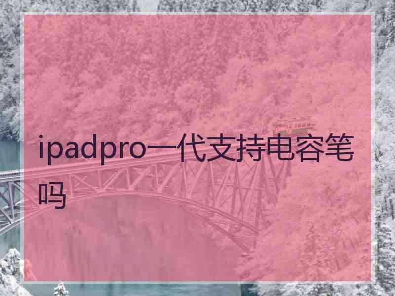 ipadpro一代支持电容笔吗