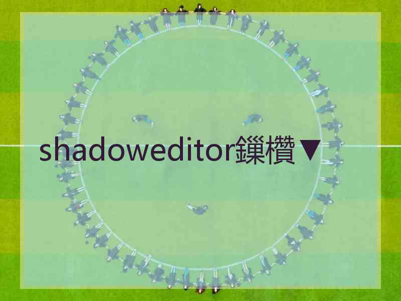 shadoweditor鏁欑▼