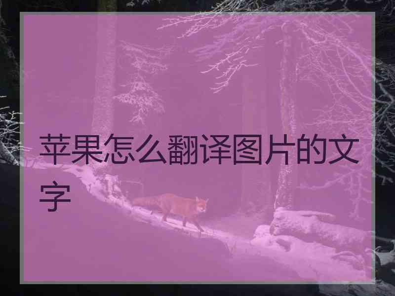 苹果怎么翻译图片的文字