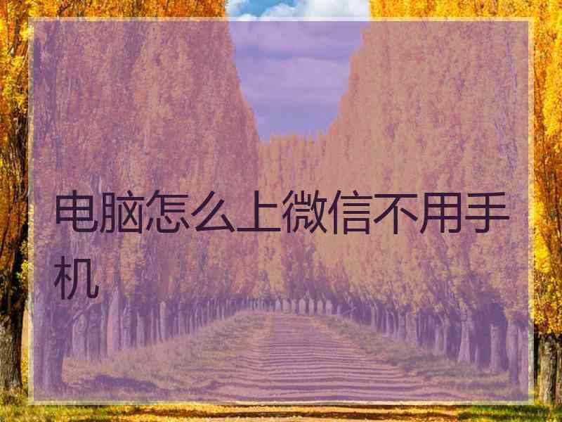 电脑怎么上微信不用手机