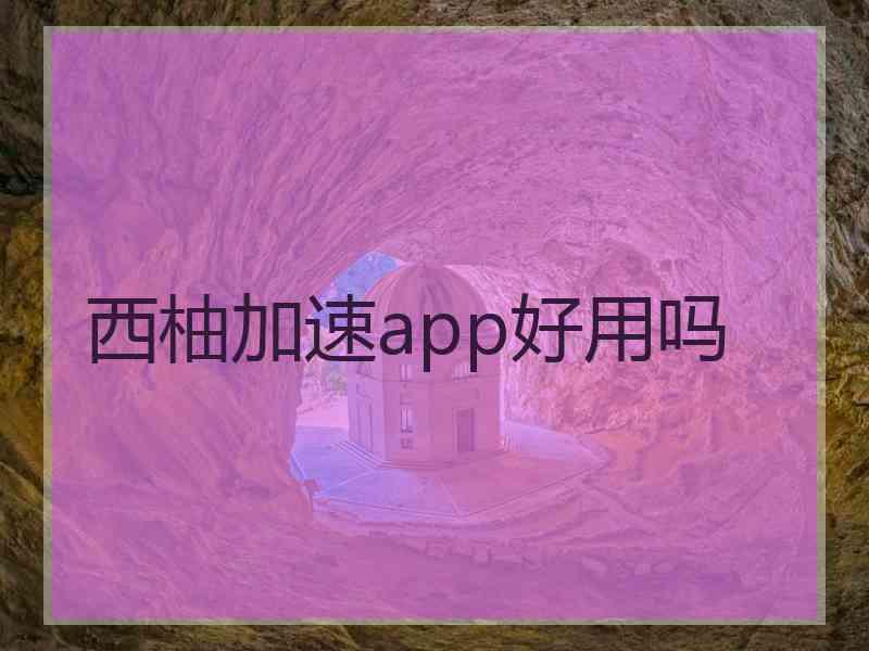 西柚加速app好用吗