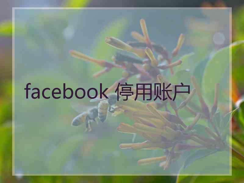 facebook 停用账户