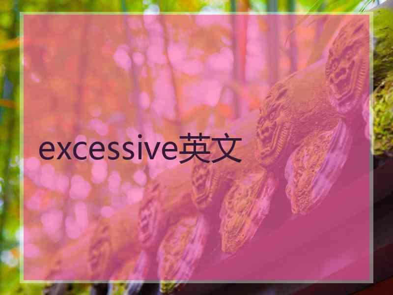 excessive英文