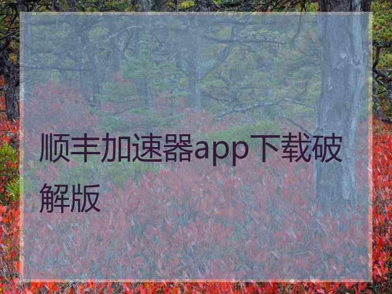 顺丰加速器app下载破解版