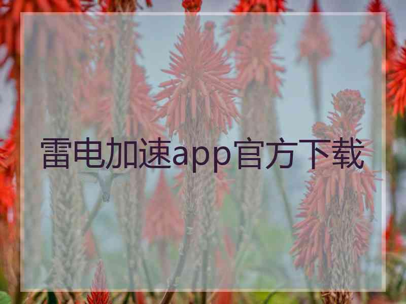 雷电加速app官方下载