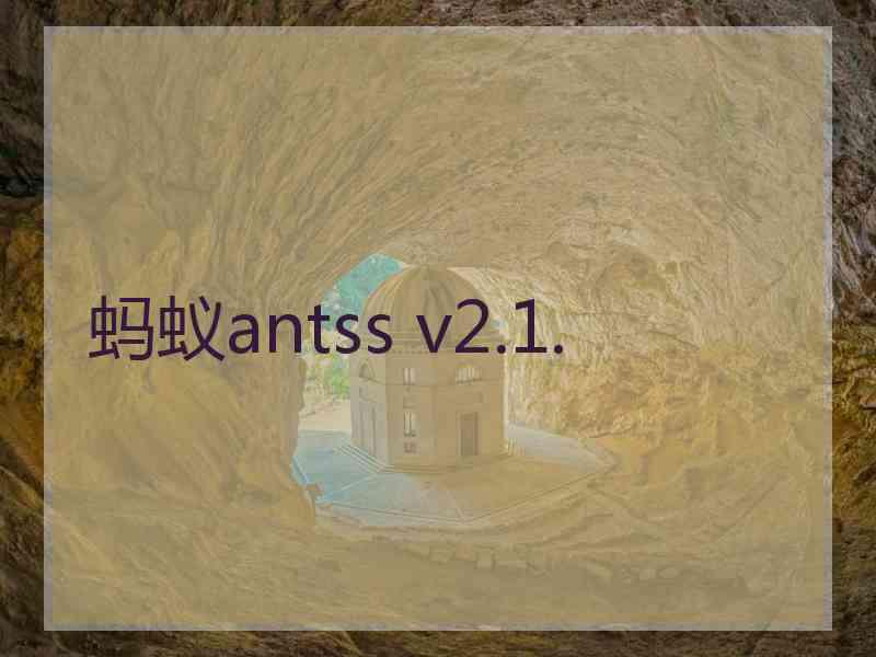 蚂蚁antss v2.1.