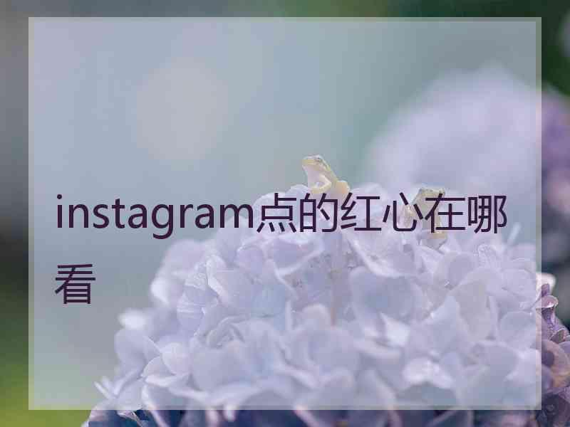 instagram点的红心在哪看