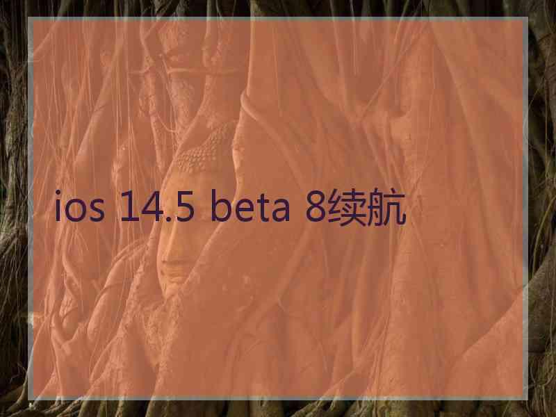 ios 14.5 beta 8续航