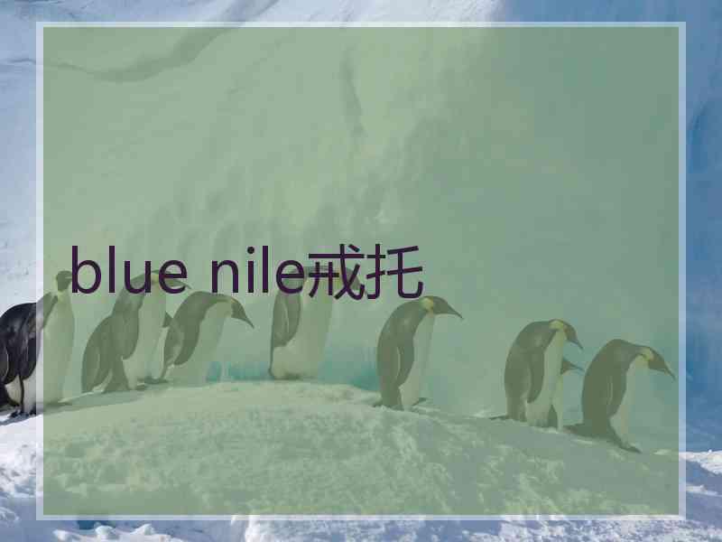 blue nile戒托