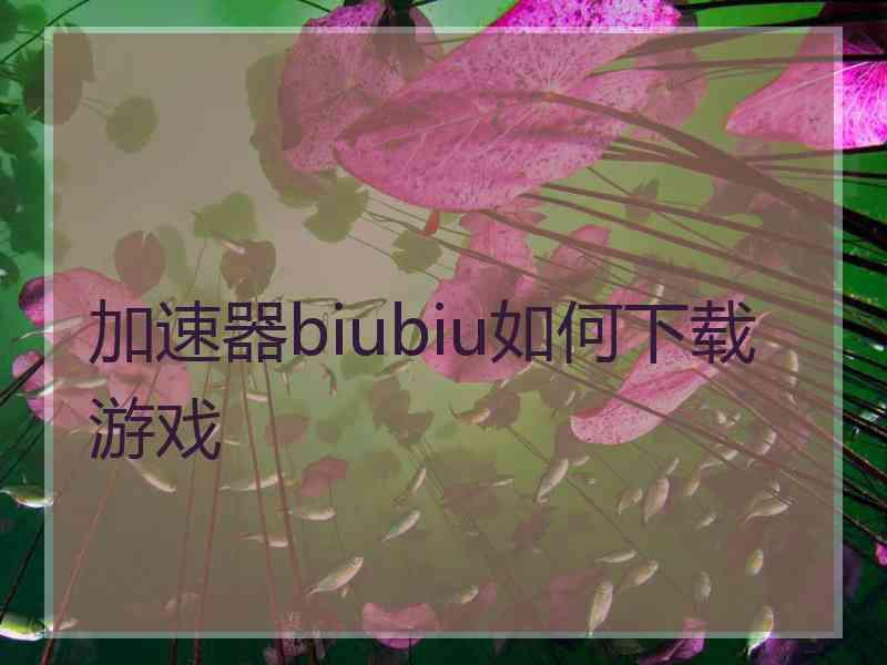 加速器biubiu如何下载游戏