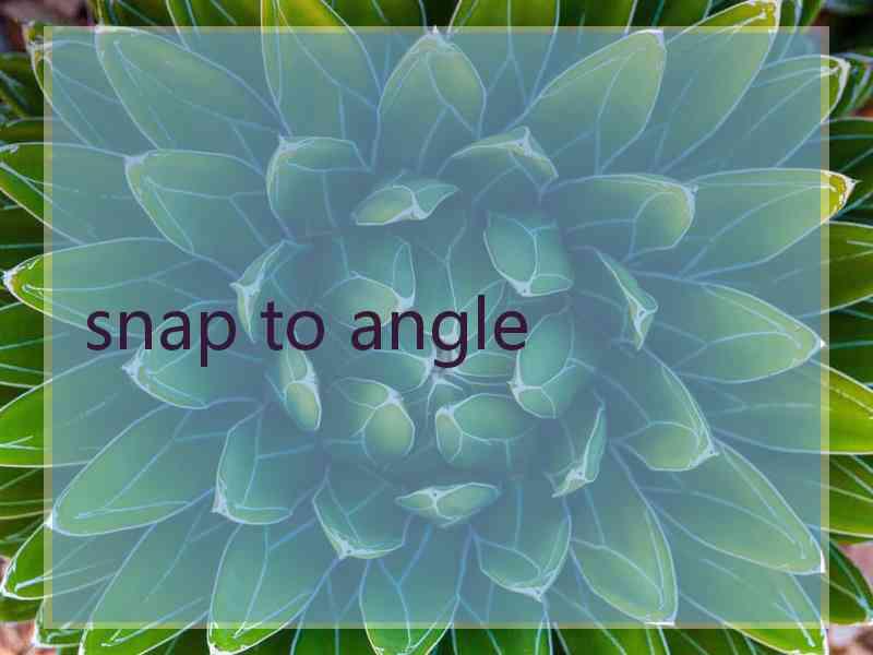 snap to angle