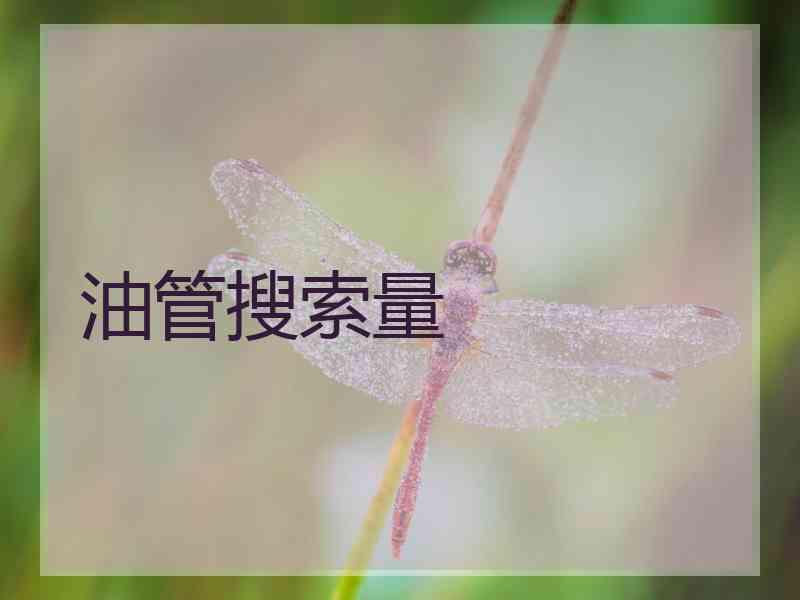 油管搜索量